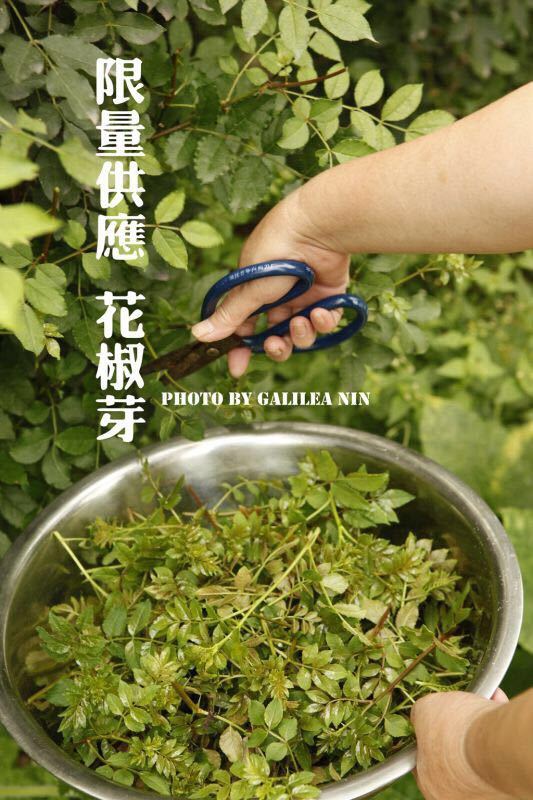 将进酒客栈