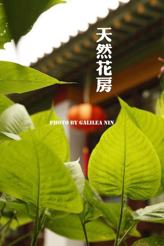 将进酒客栈