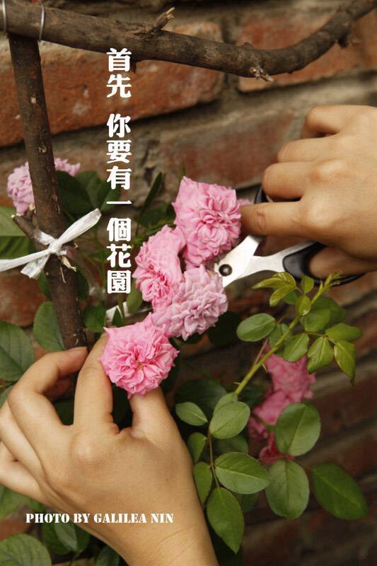 将进酒客栈