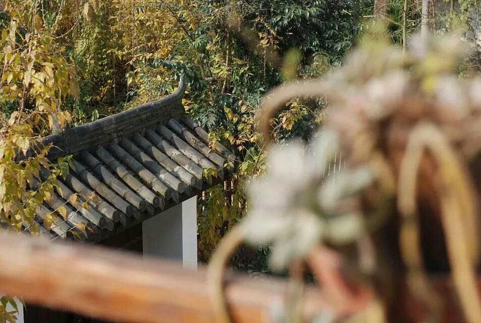 随息柒舍