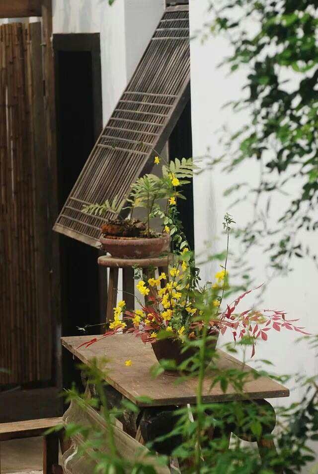 随息柒舍