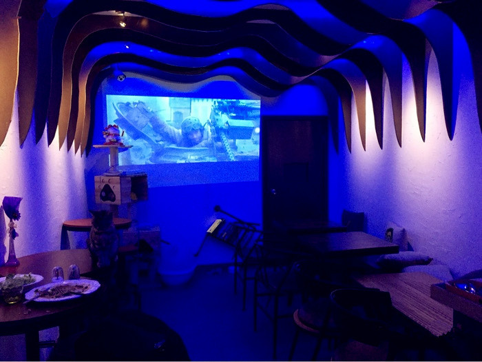 SacreBleu蓝鲸