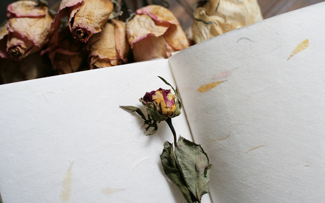 武汉最高逼格的15家创意杂货铺,你去过几家? 昙花纪