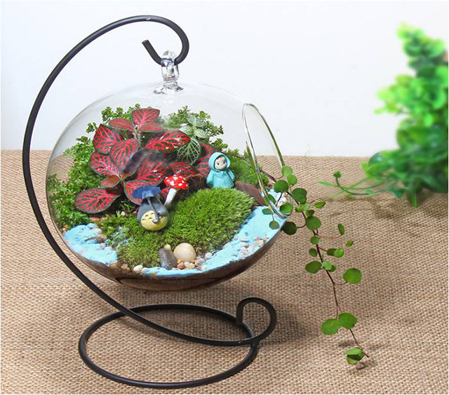植来植趣(已关门)