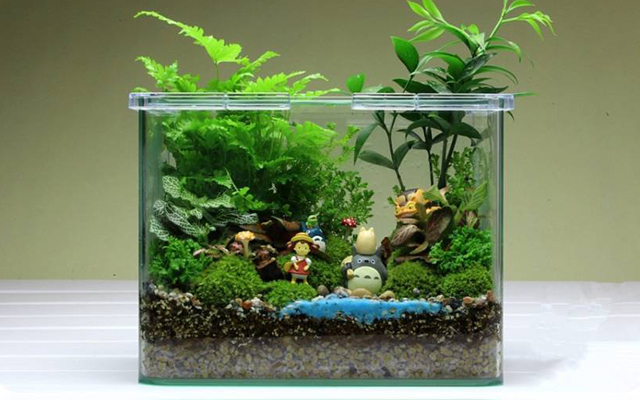 植来植趣(已关门)