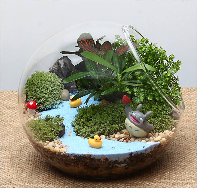 植来植趣(已关门)
