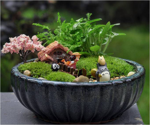 植来植趣(已关门)