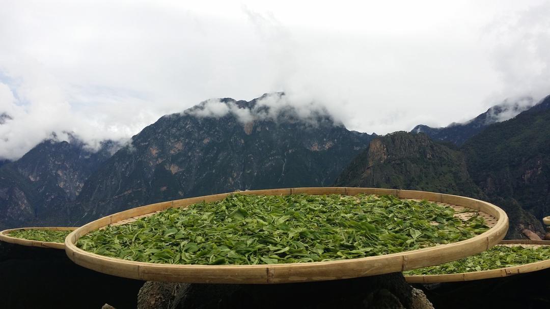 念茶一水间