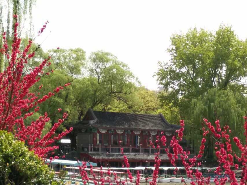 八宜茶舍