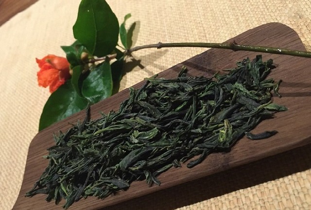 茶本院