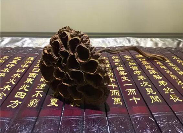 富公茶堂