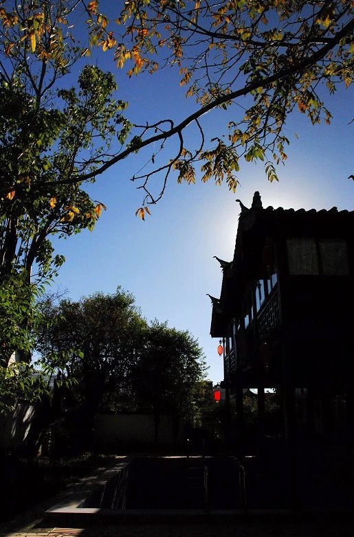 自在莲书院
