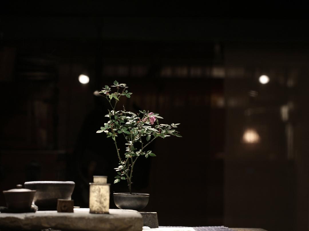 原色茶陶