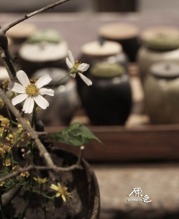 原色茶陶