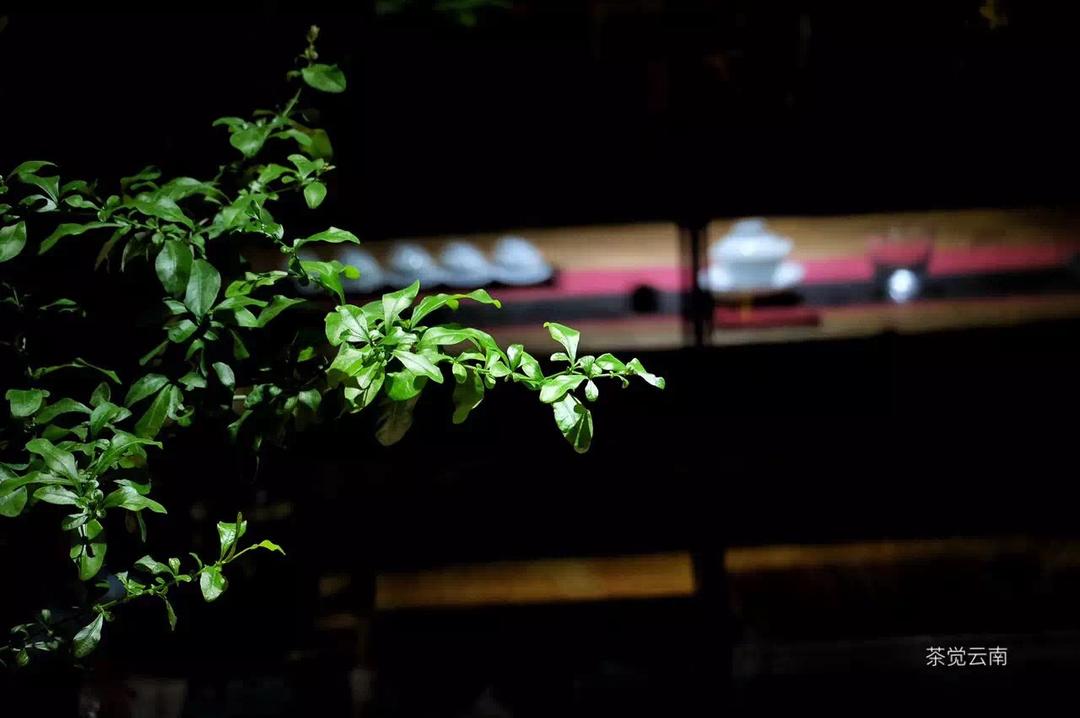 茶觉