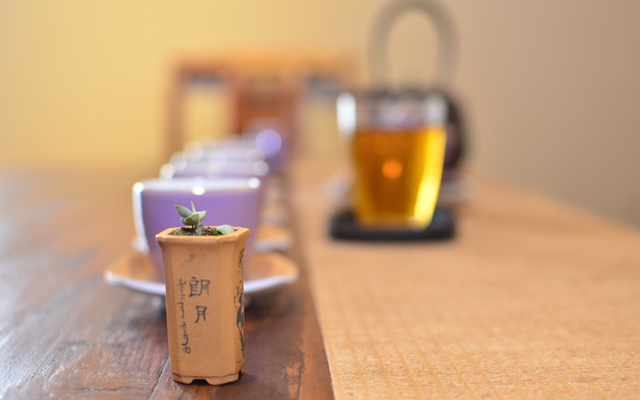 洁和茶工作室