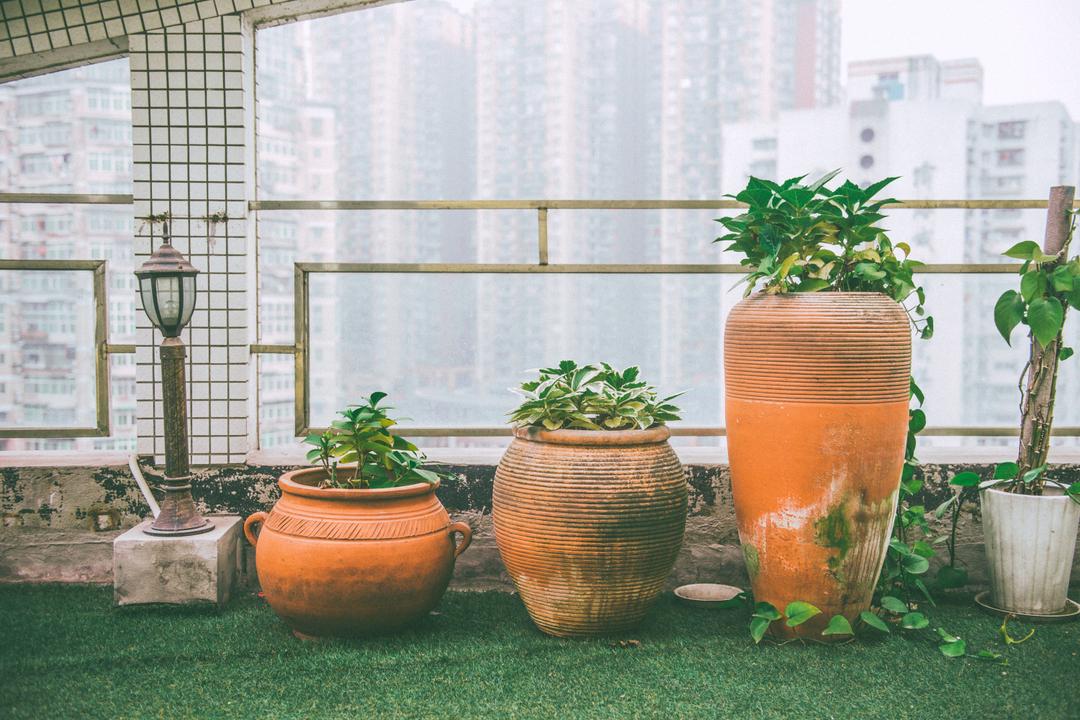 屋顶花园家庭公寓