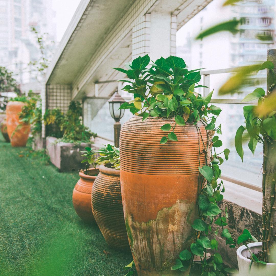 屋顶花园家庭公寓