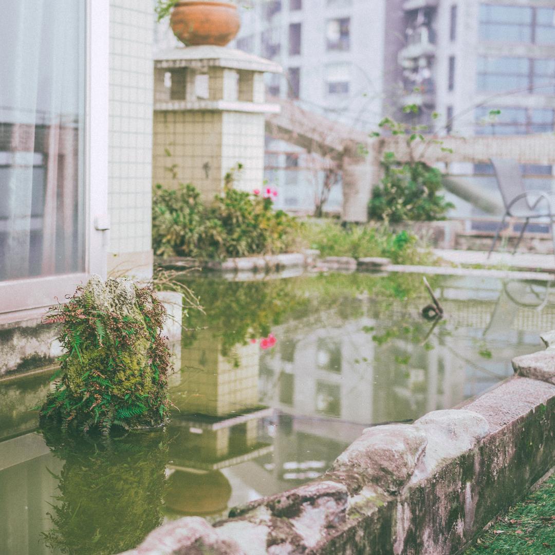 屋顶花园家庭公寓