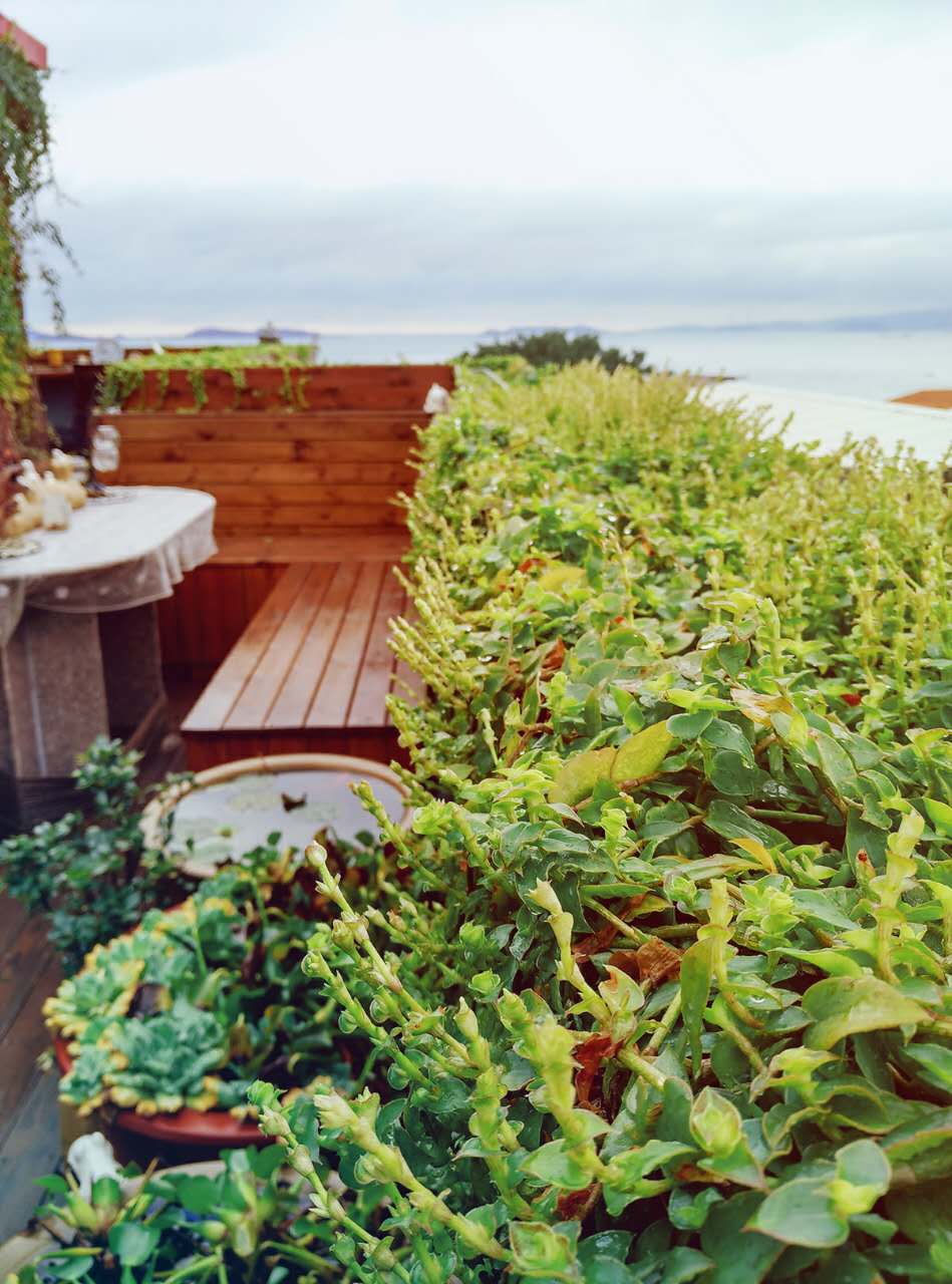 蜜糖海景度假小屋