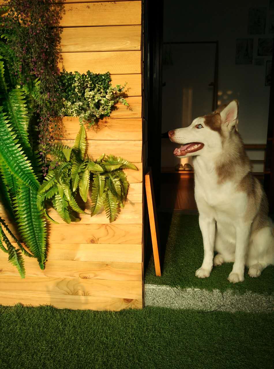 蜜糖海景度假小屋
