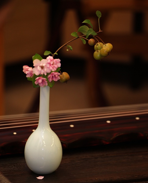 天一琴茶