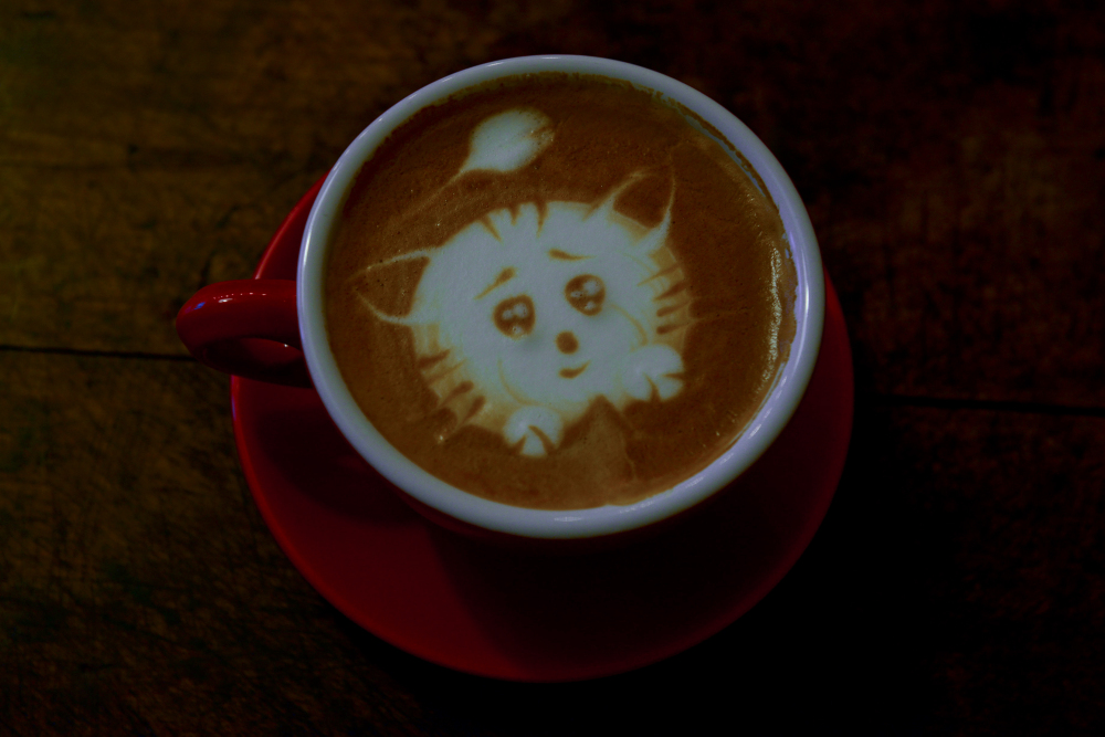 25楼coffee