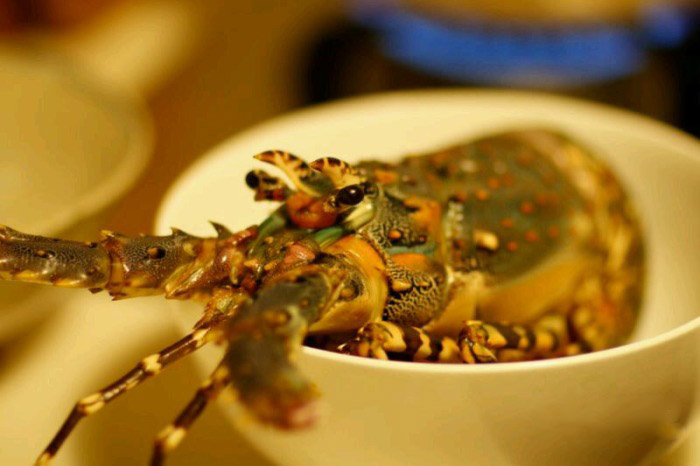 杂鱼治