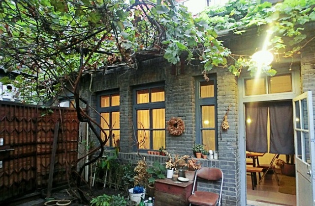 杂鱼治
