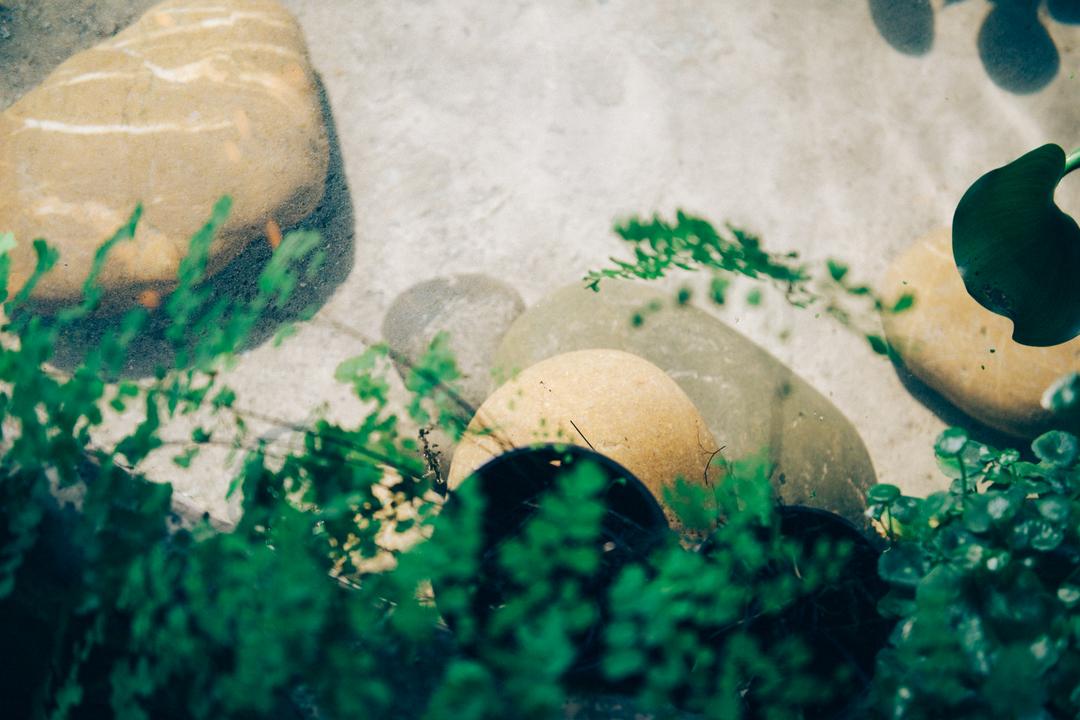 茶味