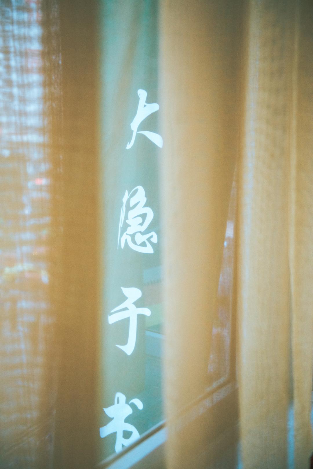 大隐于书