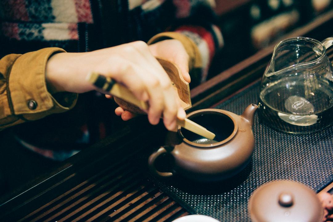 双陈普洱