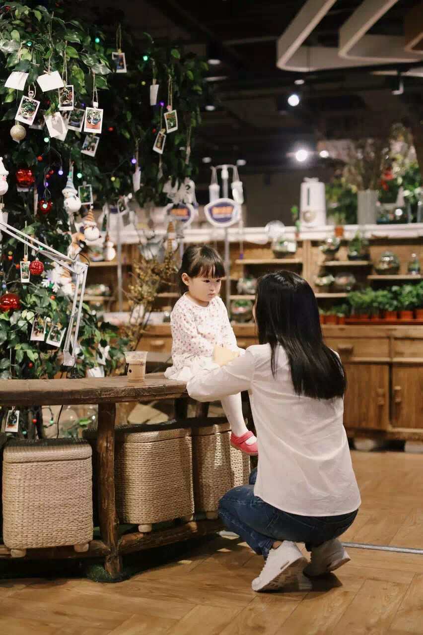 小浣熊的花花草草(莱太花卉店)