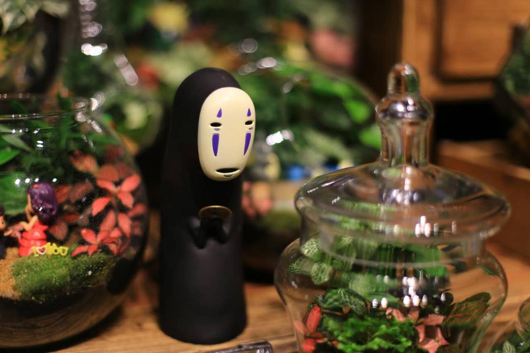 小浣熊的花花草草(莱太花卉店)