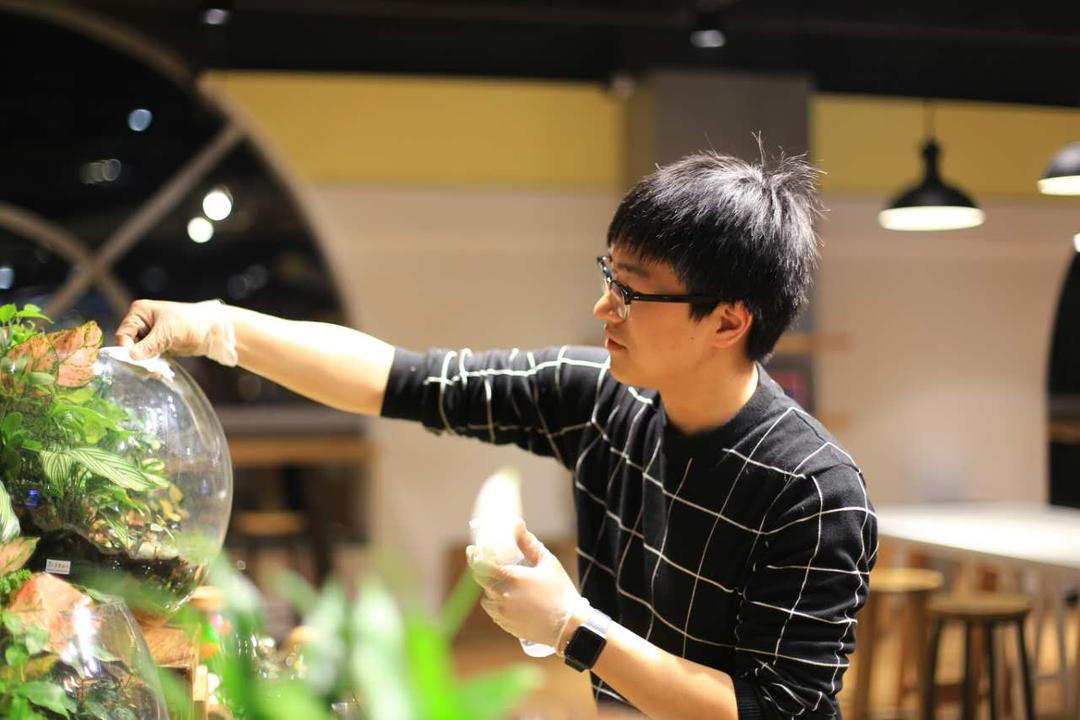 小浣熊的花花草草(莱太花卉店)