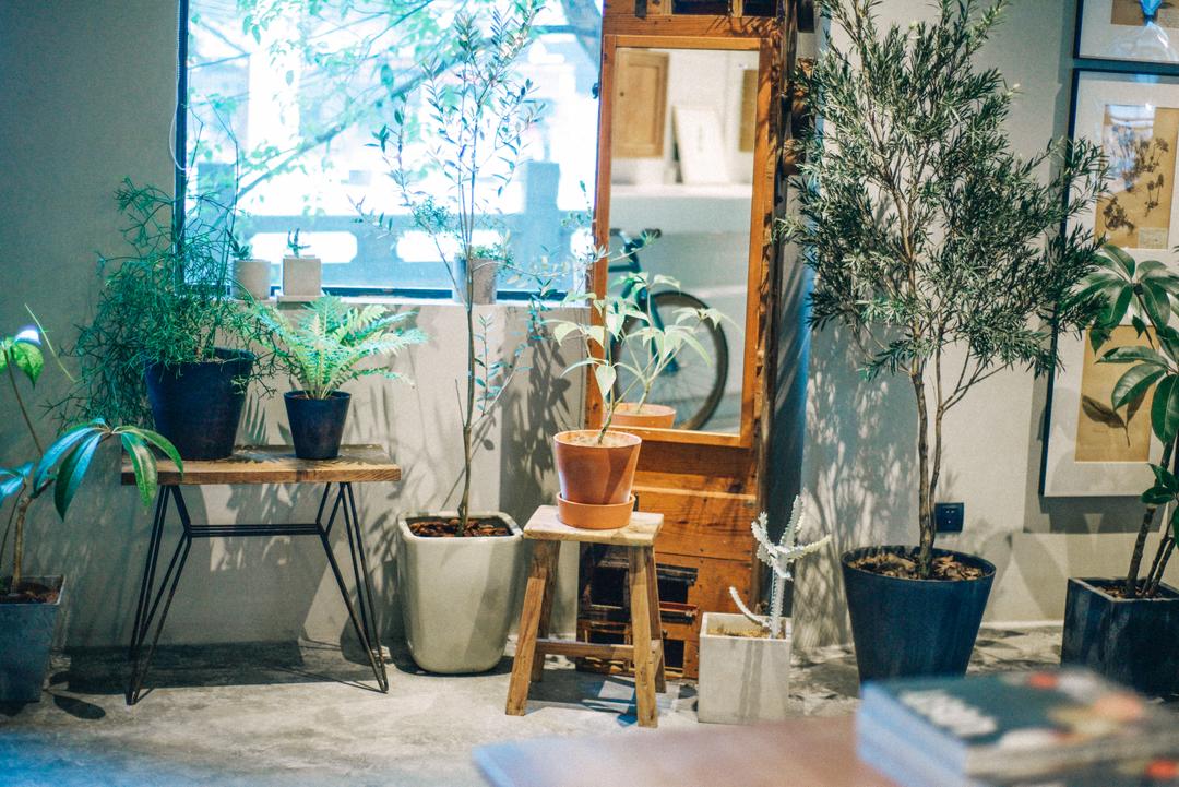23Lab Cafe