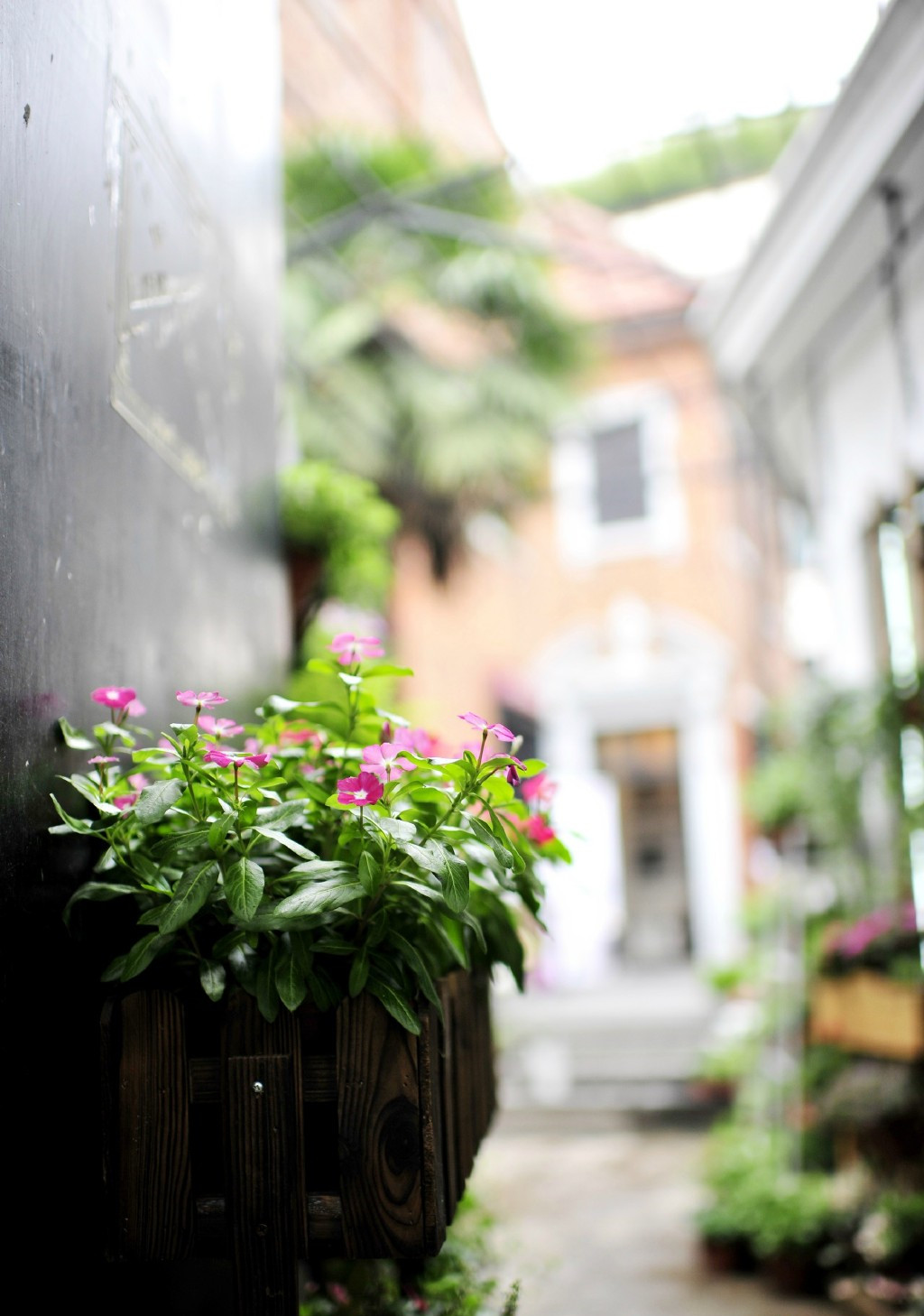Rosa Gallica(武康路店)