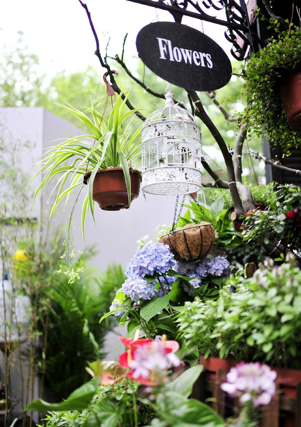 Rosa Gallica(武康路店)