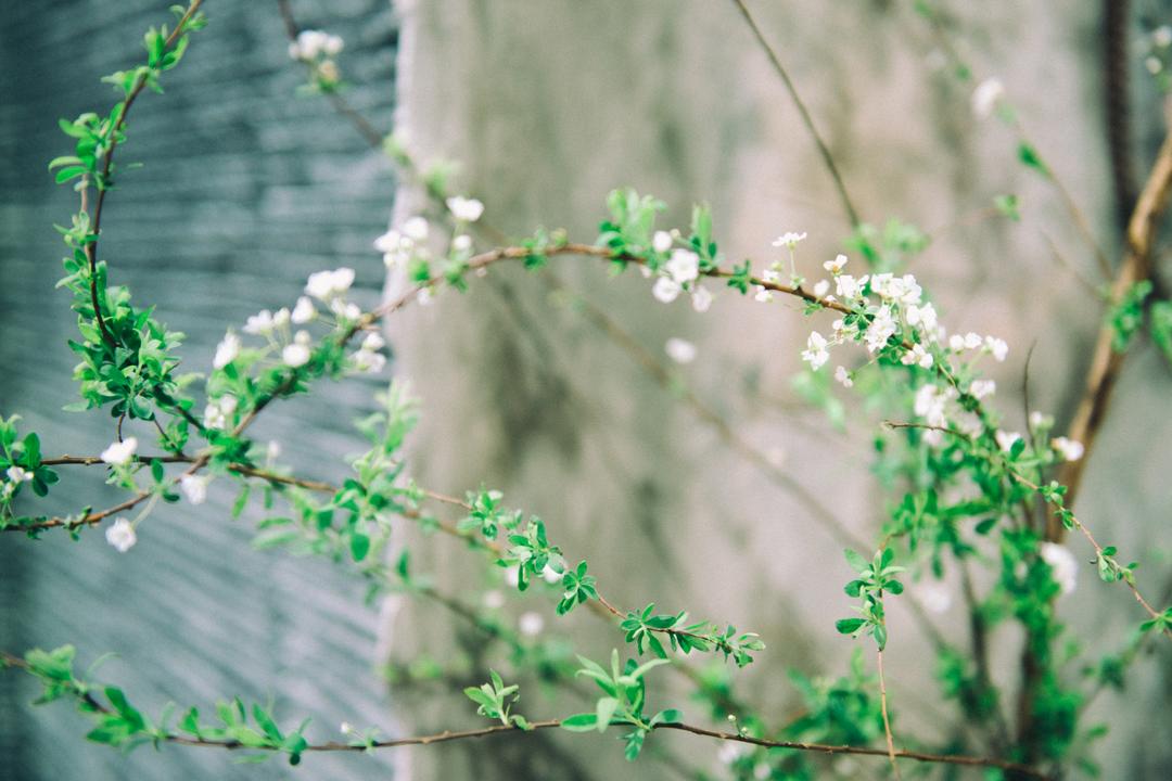 花谷