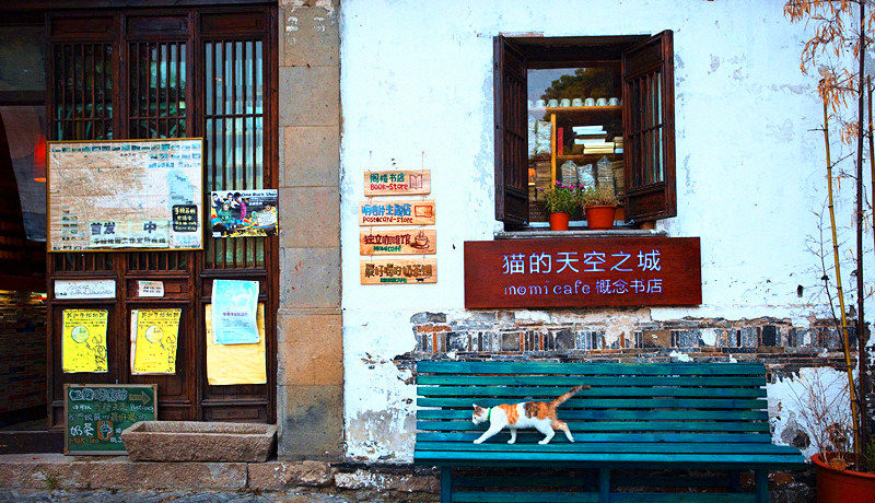 猫的天空之城概念书店(平江路店)