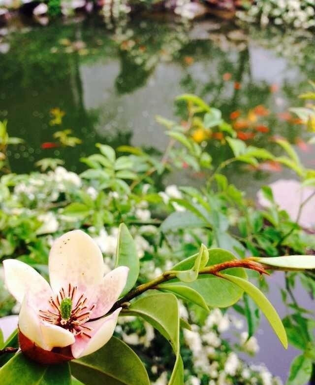 苏州文旅花间堂・探花府