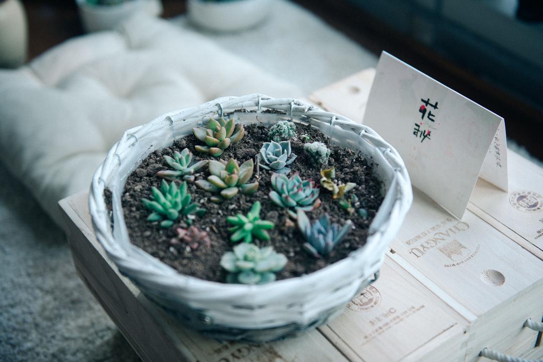 花秘