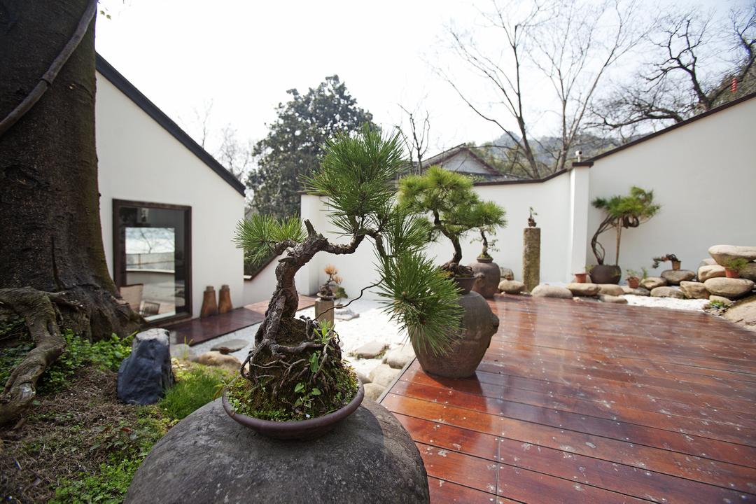 青竹茶舍