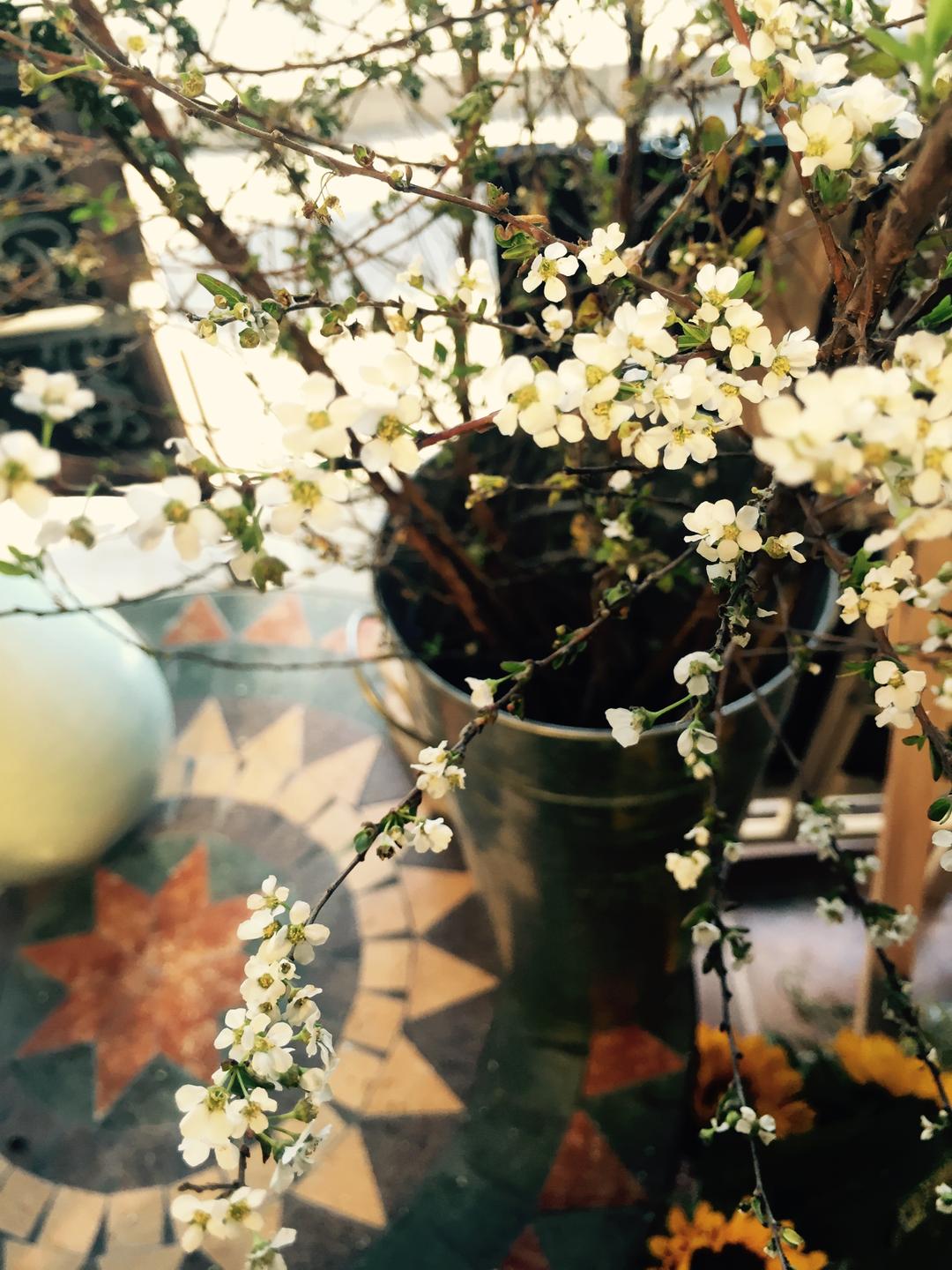 棉花flowers