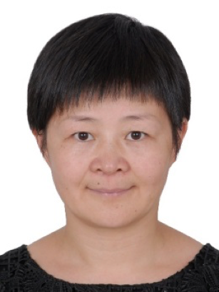 2017第八届全球华人探究学习创新应用大会（GCCIL）