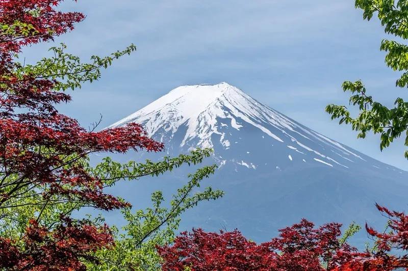 2019第五期日本（深度）商务考察游学之旅