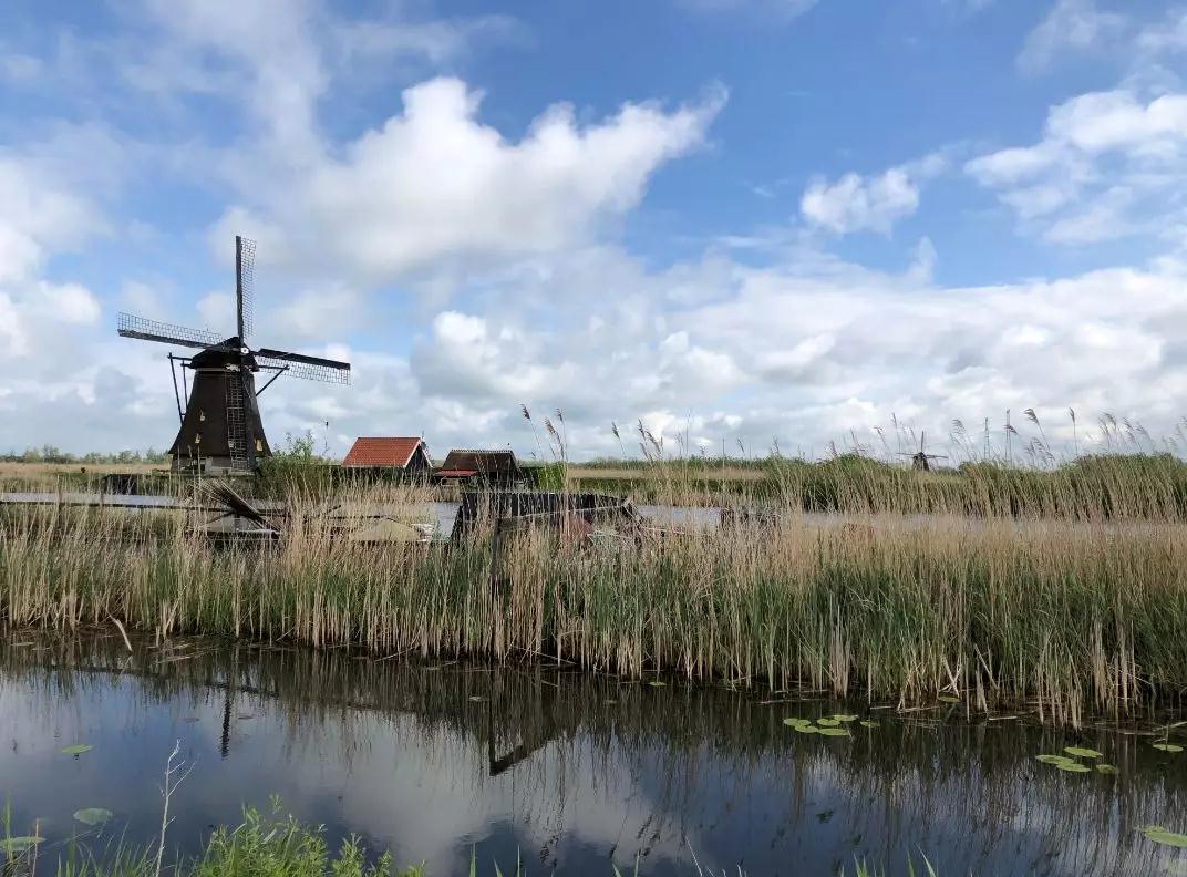 游学 | 荷兰“挚爱梵高”秋季艺术研学（2019.10）