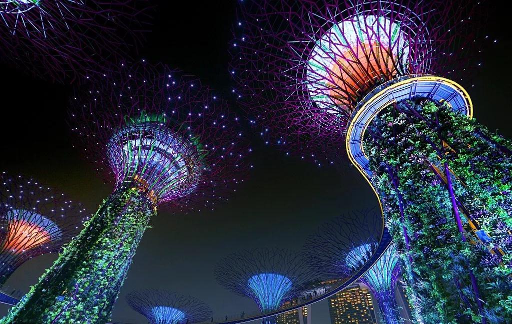 游学 | 花园城市新加坡，园林人的创新之旅