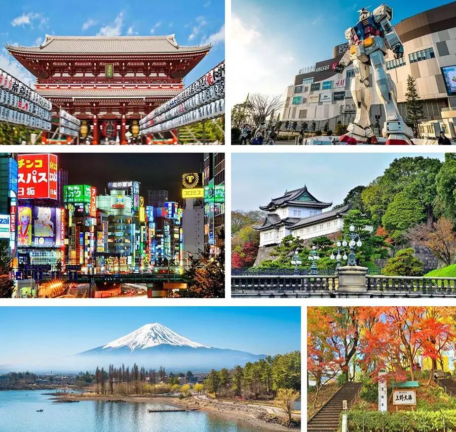 9月游学东京，与日本最大国际福祉展H.C.R.有个约会！