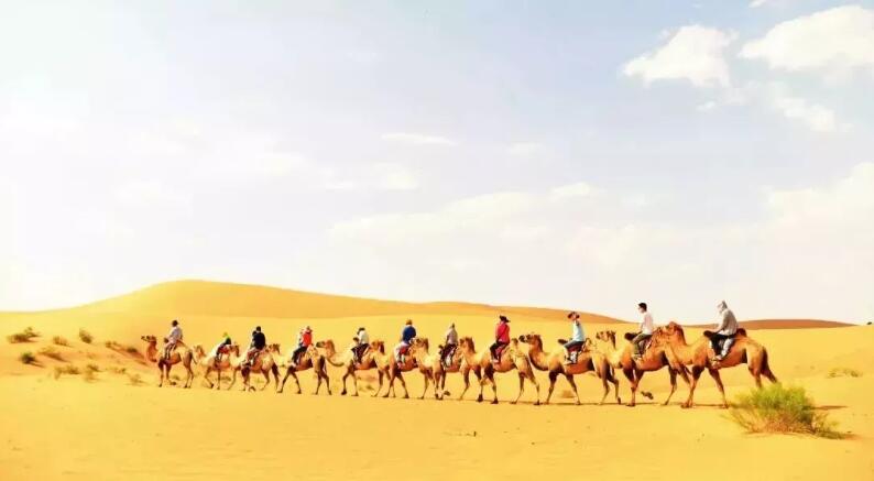 【国庆 腾格里】大漠星途下亲子研学之旅——沙漠徒步、夜观星空、探索大自然